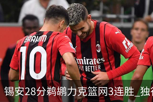 锡安28分鹈鹕力克篮网3连胜 独行侠险胜马刺